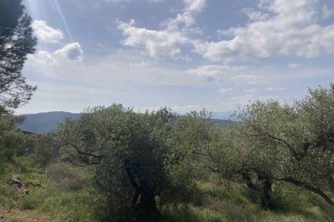 Landejendom i El Perello, Tarragona, El Perello - € 74.000 | Ref: FincaVistaValle - foto 27